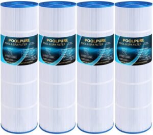 Pentair Clean and Clear Plus
